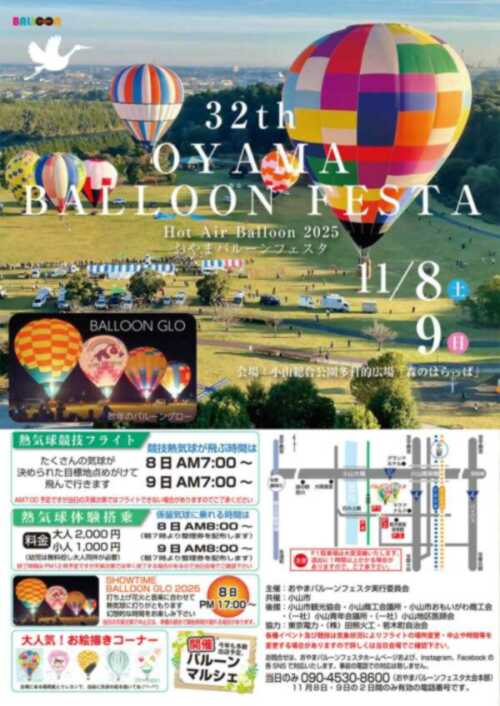 おやまバルーンフェスタパンフレット