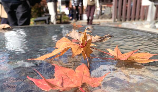 「竜頭の滝」の紅葉