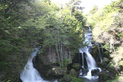新緑の季節の竜頭の滝
