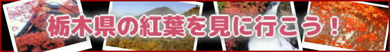 栃木県の「秋の紅葉」情報