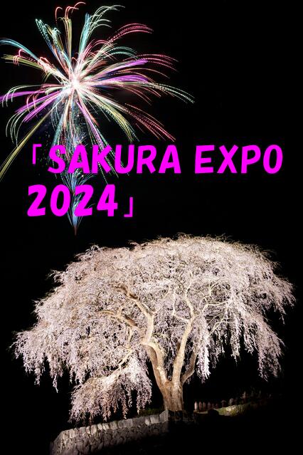 SAKURA EXPO 2024