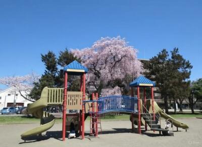 ���������̗V��ʐ^